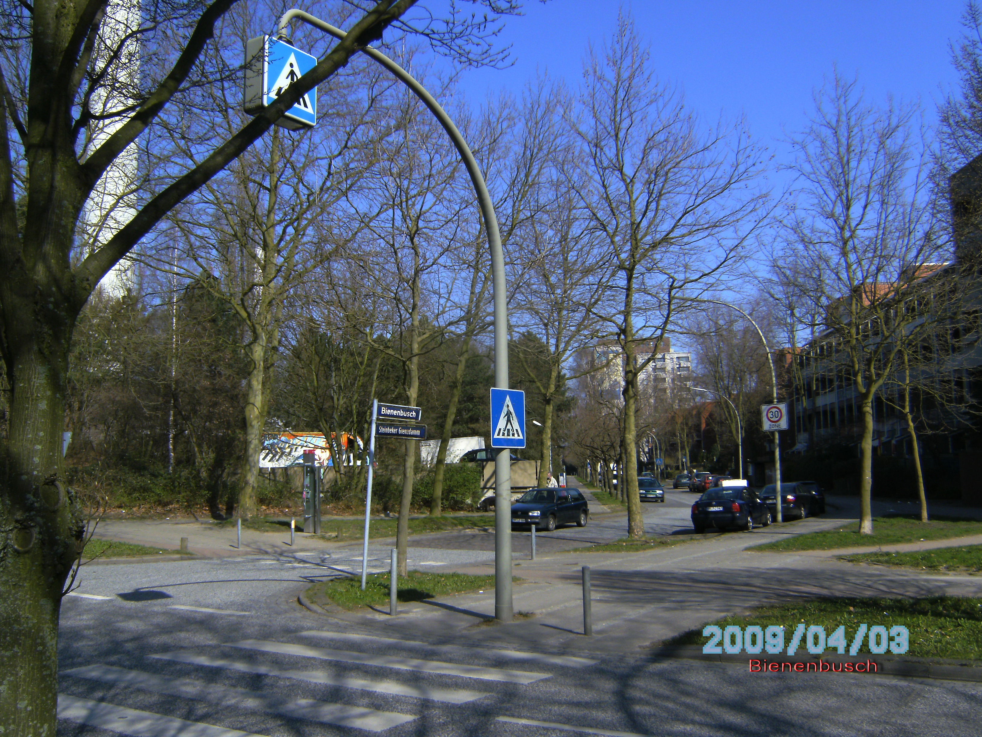 Bienenbusch vom Steinbeker Grenzdamm---