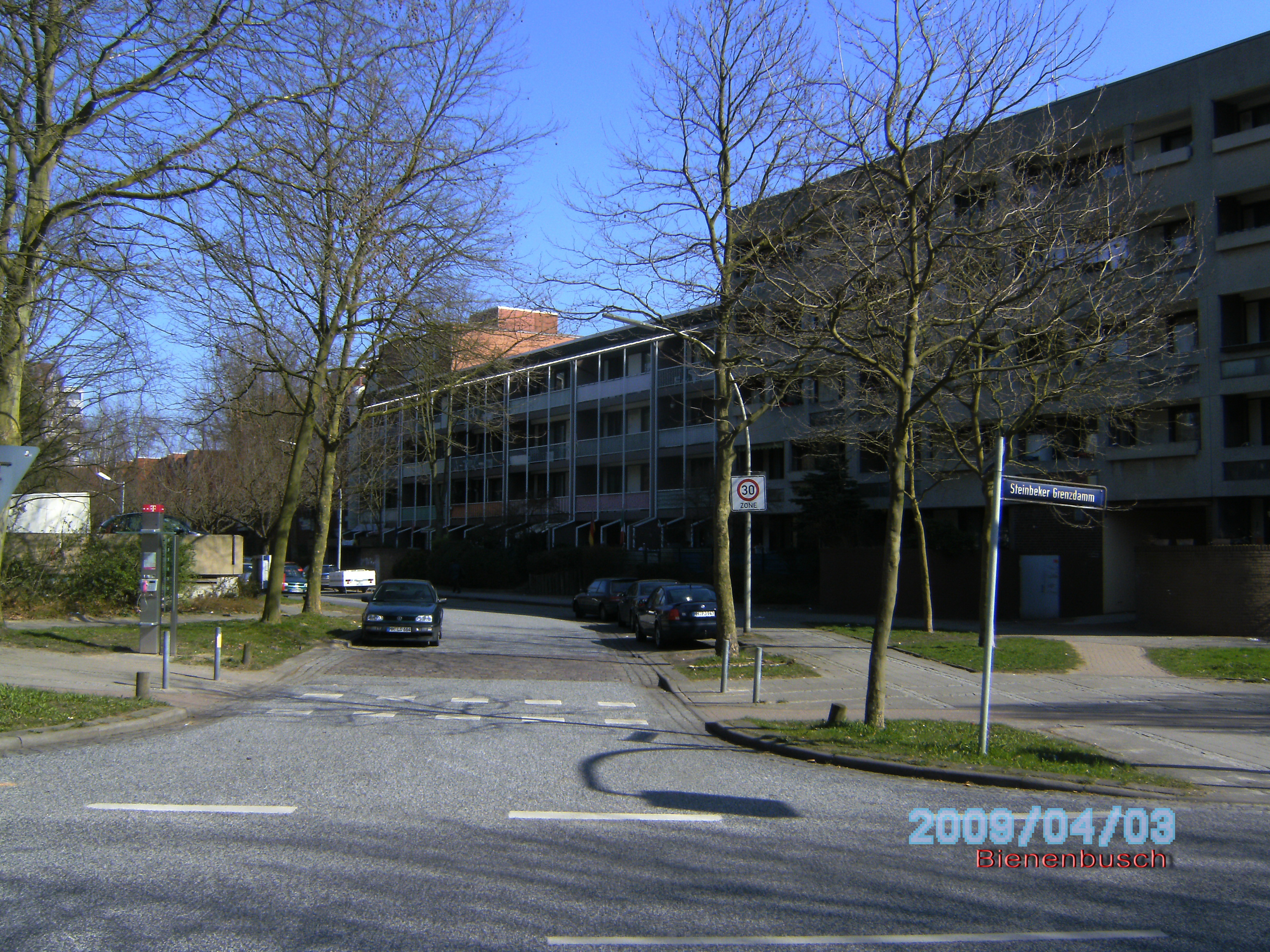 Bienenbusch vom Steinbeker Grenzdamm